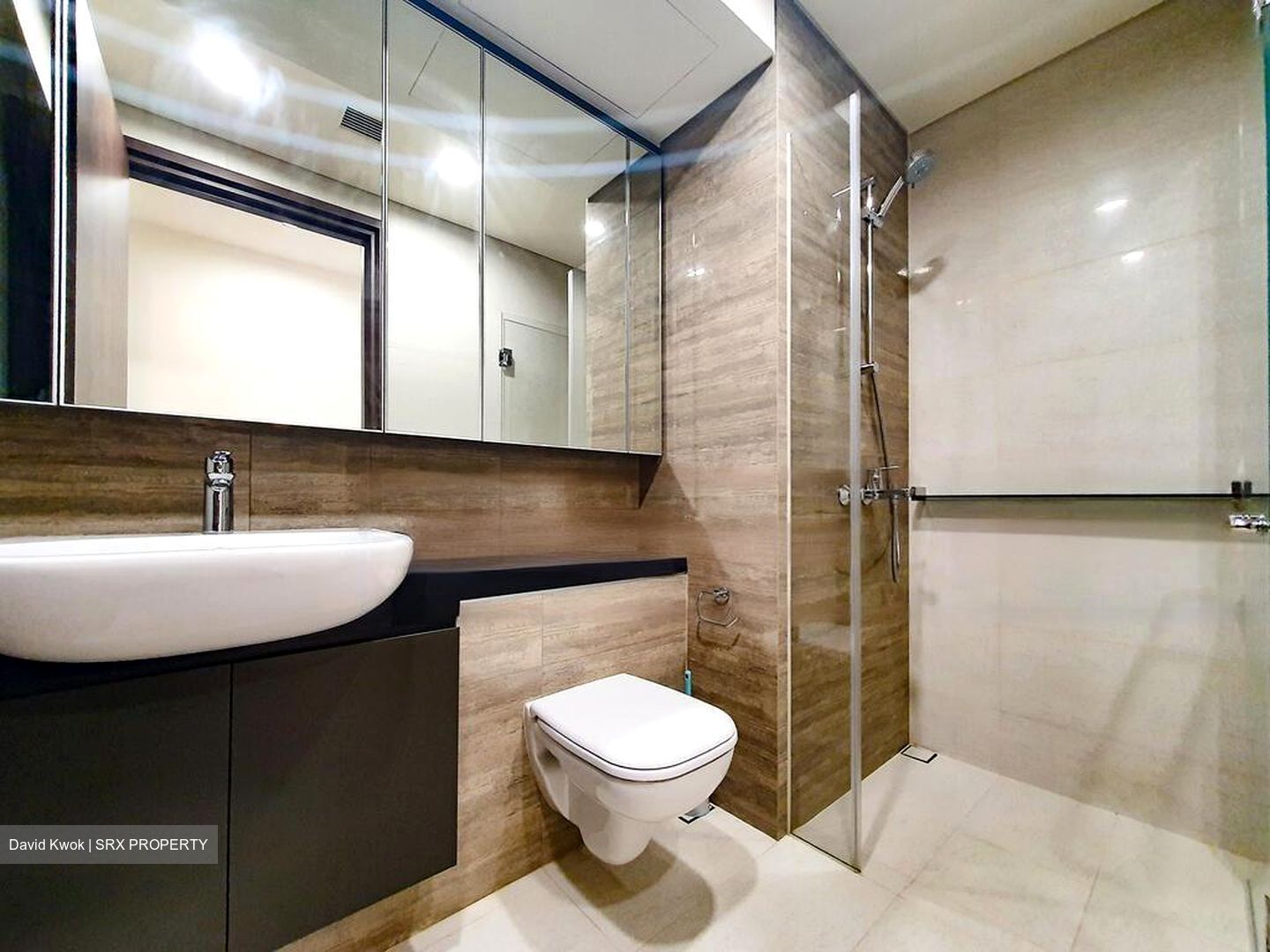 Park Place Residences At Plq (D14), Apartment #462600641